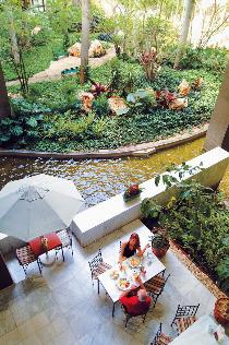 Отель MELIA HABANA 5 * (Куба, Гавана) Отель MELIA HABANA 5 * (Куба, Гавана)