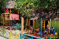 Отель SOL PALMERAS 4 * (Куба, Варадеро) Отель SOL PALMERAS 4 * (Куба, Варадеро)