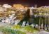 Отель Crowne Plaza Eilat 5* (Израиль, Эйлат)