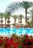 Отель Leonardo Privilege Eilat (ex.Golden Tulip Privilege Eilat) 4* (Израиль, Эйлат)