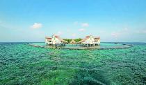 Отель CHAAYA REEF ELLAIDHOO 4 * (Мальдивы)