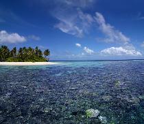 Отель JUMEIRAH DHEVANAFUSHI 5 * (Мальдивы)