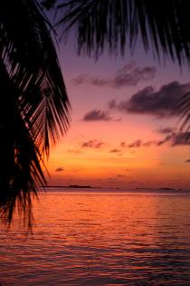 Отель JUMEIRAH VITTAVELI 5 * (Мальдивы) Отель JUMEIRAH VITTAVELI 5 * (Мальдивы)
