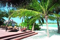Отель NALADHU MALDIVES 5 * (Мальдивы) Отель NALADHU MALDIVES 5 * (Мальдивы)