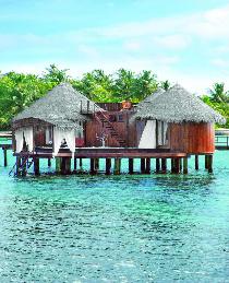Отель NIKA ISLAND RESORT 5 * (Мальдивы) Отель NIKA ISLAND RESORT 5 * (Мальдивы)