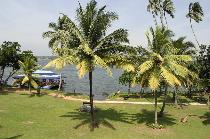 Отель BENTOTA BEACH 4 * (Шри-Ланка, Бентота) Отель BENTOTA BEACH 4 * (Шри-Ланка, Бентота)