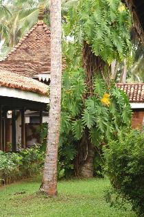 Отель CLUB BENTOTA 4 * (Шри-Ланка, Бентота) Отель CLUB BENTOTA 4 * (Шри-Ланка, Бентота)