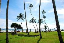 Отель LIGHT HOUSE HOTEL & SPA 5 * (Шри-Ланка, Галле) Отель LIGHT HOUSE HOTEL & SPA 5 * (Шри-Ланка, Галле)