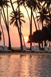 Отель ROYAL PALMS BEACH 5 * (Шри-Ланка, Калутара) Отель ROYAL PALMS BEACH 5 * (Шри-Ланка, Калутара)