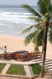 Отель THE PALMS 4 * (Шри-Ланка, Берувелла) Отель THE PALMS 4 * (Шри-Ланка, Берувелла)