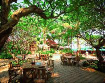 Отель CHAWENG BURI RESORT 4 * (Таиланд, Самуи) Отель CHAWENG BURI RESORT 4 * (Таиланд, Самуи)