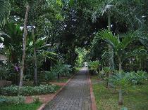 Отель PATTAYA GARDEN 3 * (Таиланд, Паттайя)