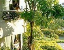 Отель RAMA GARDENS 4 * (Таиланд, Бангкок) Отель RAMA GARDENS 4 * (Таиланд, Бангкок)