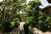 Отель SAMUI JASMINE RESORT 3 * (Таиланд, Самуи) Отель SAMUI JASMINE RESORT 3 * (Таиланд, Самуи)
