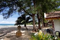 Отель THAVORN BEACH BUNGALOW 3 * (Таиланд, Пхукет) Отель THAVORN BEACH BUNGALOW 3 * (Таиланд, Пхукет)