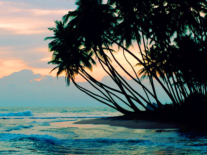 Райский остров 5 ночей / 6 дней, экскурсии на Шри-Ланке
