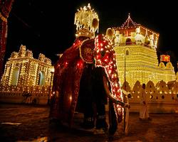 Фестиваль Эсала Перахера, достопримечательность Шри-Ланки