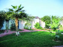 Отель CLIFF TOP HOTEL 3 * (Египет, Шарм эль Шейх) Отель CLIFF TOP HOTEL 3 * (Египет, Шарм эль Шейх)