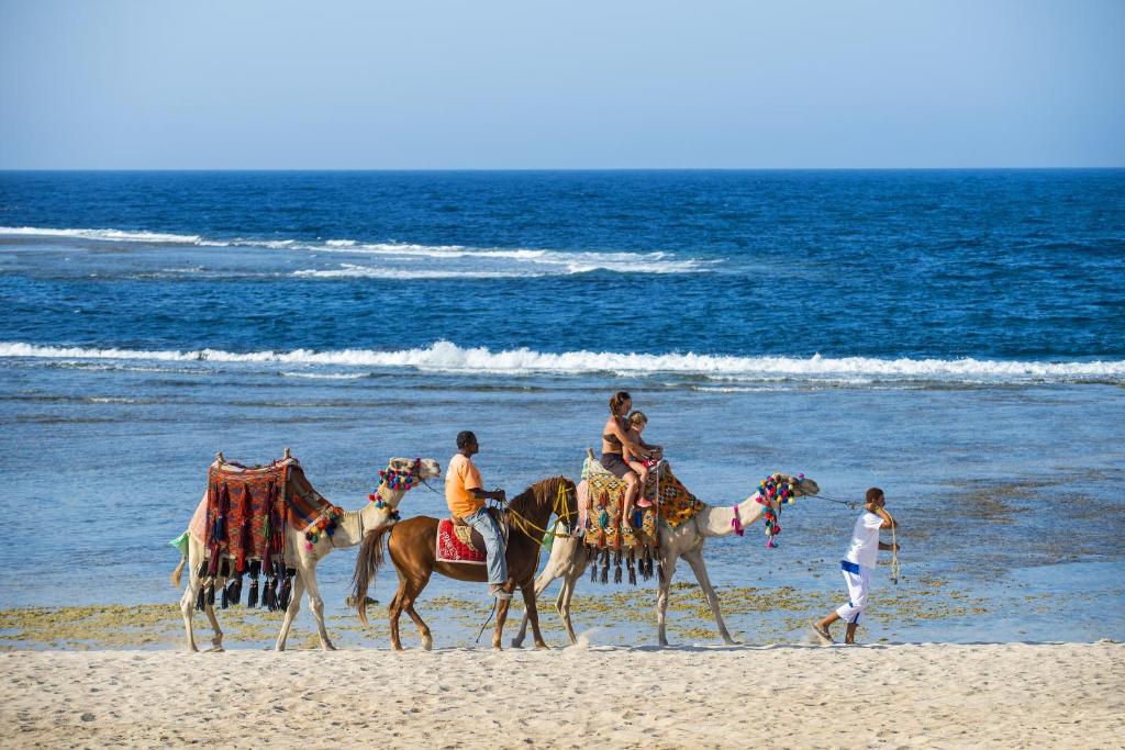 Отель Elphistone Resort Marsa Alam