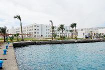 Отель GOLDEN 5 EMERALD HOTEL 5 * (Египет, Хургада) Отель GOLDEN 5 EMERALD HOTEL 5 * (Египет, Хургада)