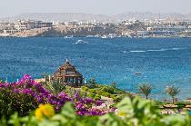 Отель SOFITEL SSH 5 * (Египет, Шарм эль Шейх) Отель SOFITEL SSH 5 * (Египет, Шарм эль Шейх)