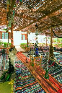 Отель SUN RISE HOTEL SHARM 3 * (Египет, Шарм эль Шейх) Отель SUN RISE HOTEL SHARM 3 * (Египет, Шарм эль Шейх)