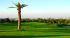 Отель Le Royal Hammamet 5* (Тунис, Хаммамет)