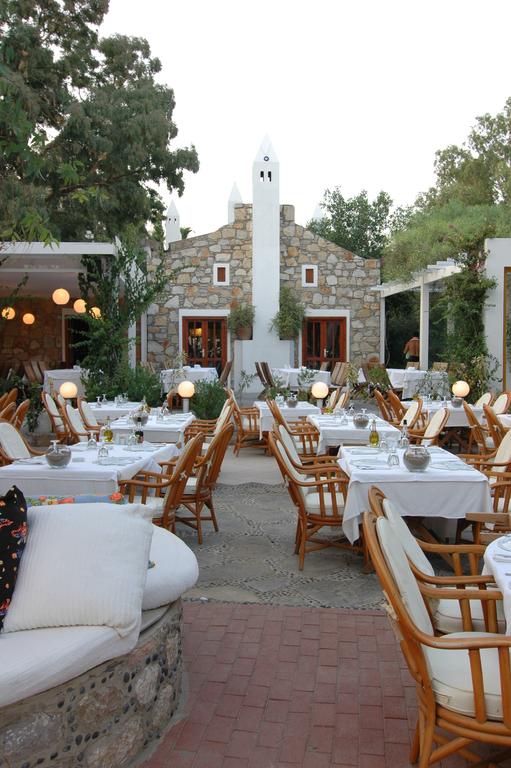 Okaliptus Hotel 4