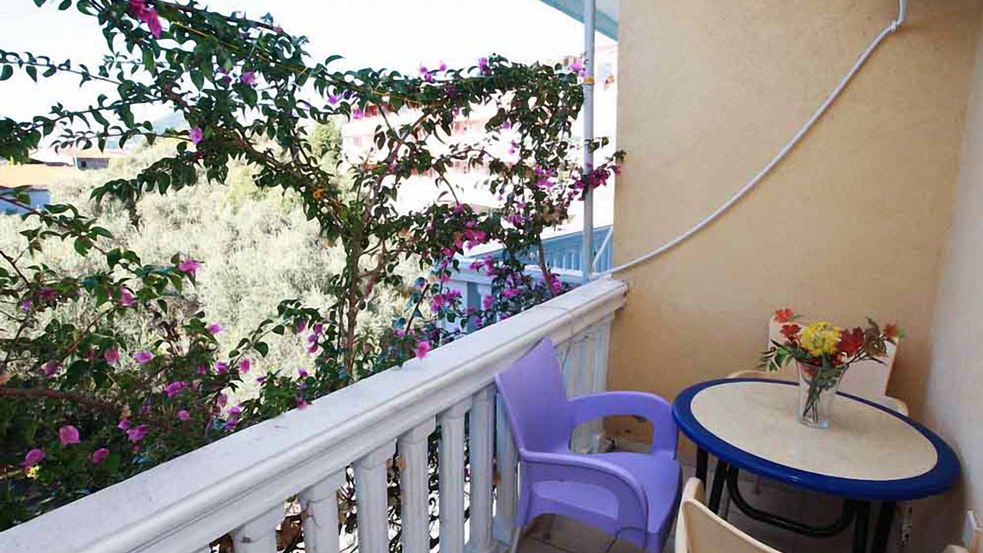 Villa Dana 3 Черногория Бечичи